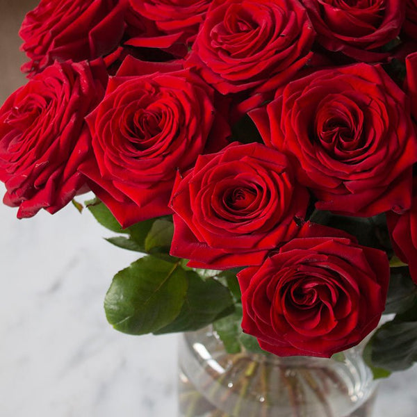 10st Röda rosor med Geléhjärtan